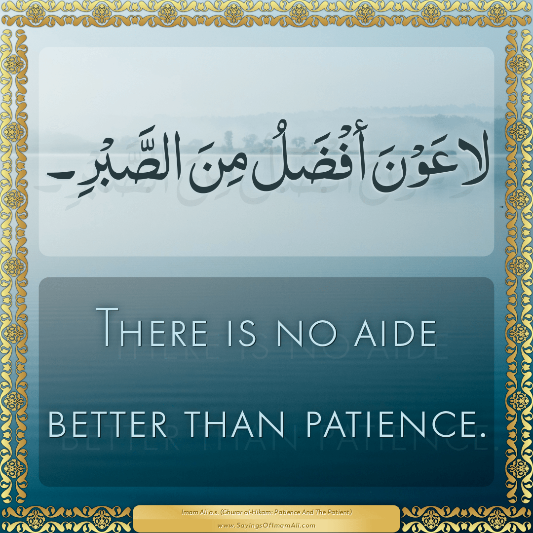 There is no aide better than patience.
